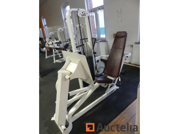 Cybex bench online press