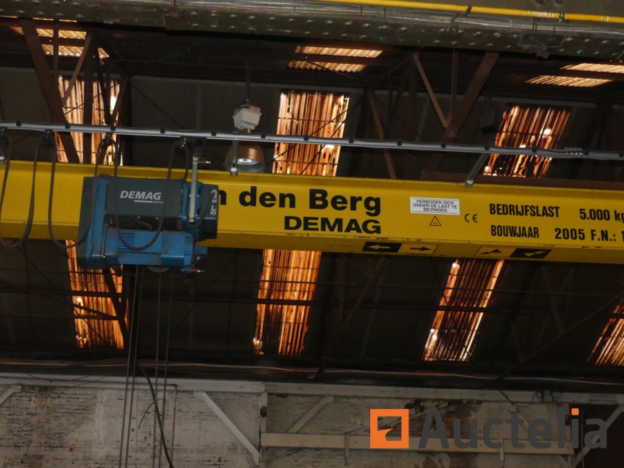 DEMAG Overhead crane 5 T Others Bridgecrane
