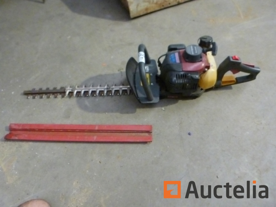 Kawasaki TH23 engine Thermal Hedge cutter Agriculture & Forestry G