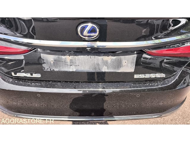 2021 LEXUS ES300H-49345219