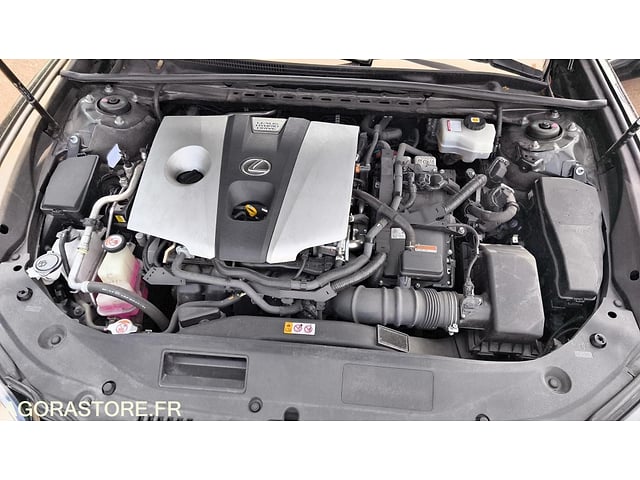 2021 LEXUS ES300H-49345164