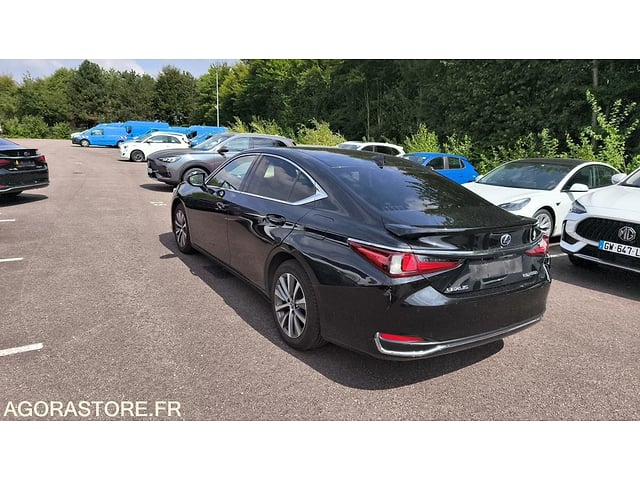 2021 LEXUS ES300H-49345217