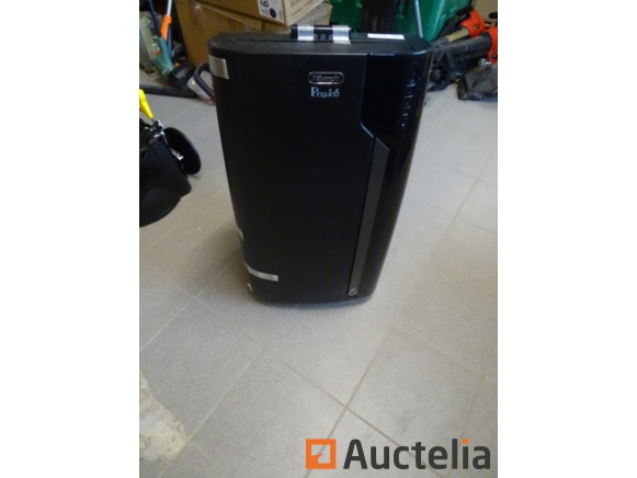 Mobile air conditioner DELONGHI Pinguino Pac EX130 ECOREAL FEEL