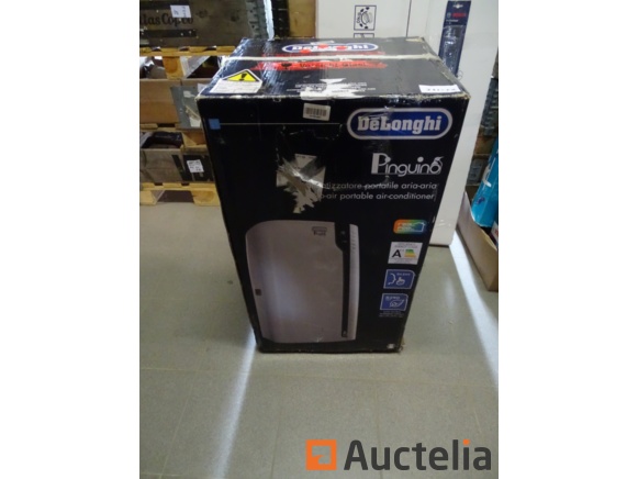 Climatiseur mobile DE LONGHI Pinguino PAC EX100 Silent Valeur