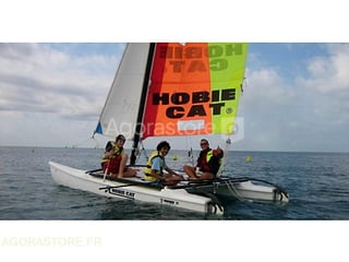 Hobie Cat Teddy