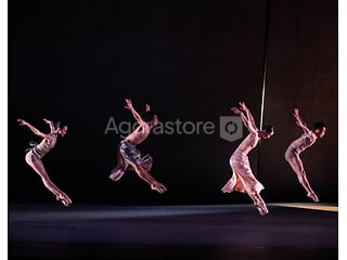 Sport - Harlequin - Tapis de danse professionnel - lot de 4 rouleaux (photo 4)