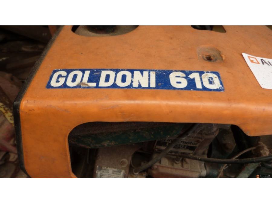 Motoculteur Goldoni occasion à vendre - Ocazoo