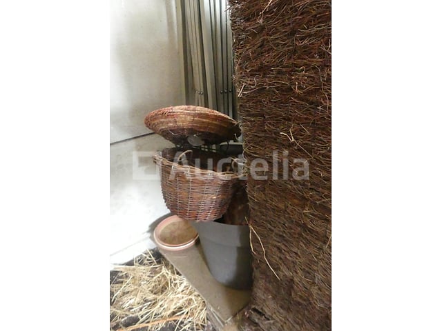 100 bloempotten – foto 4 – kavel bij Auctelia, Fauvillers