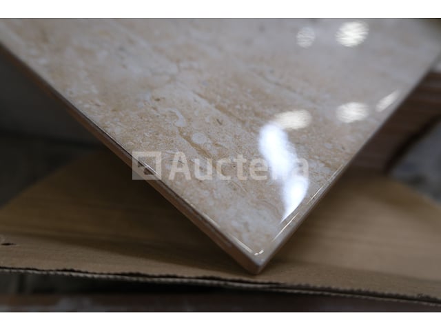100 tegels 50x20 Binatural – foto 3 – kavel bij Auctelia, Paliseul