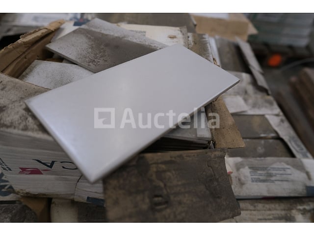 1100 tegels 20x10 Cinca – foto 3 – kavel bij Auctelia, Paliseul