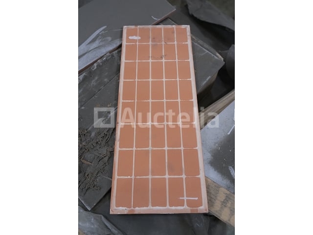 120 tegels 50x20 – foto 3 – kavel bij Auctelia, Paliseul