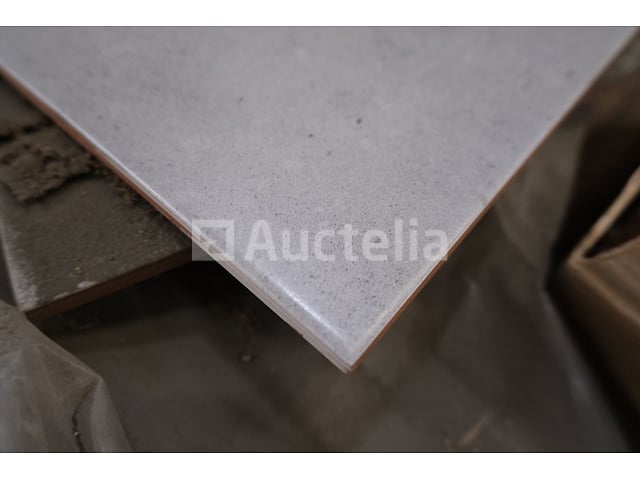120 tegels 50x20 – foto 4 – kavel bij Auctelia, Paliseul
