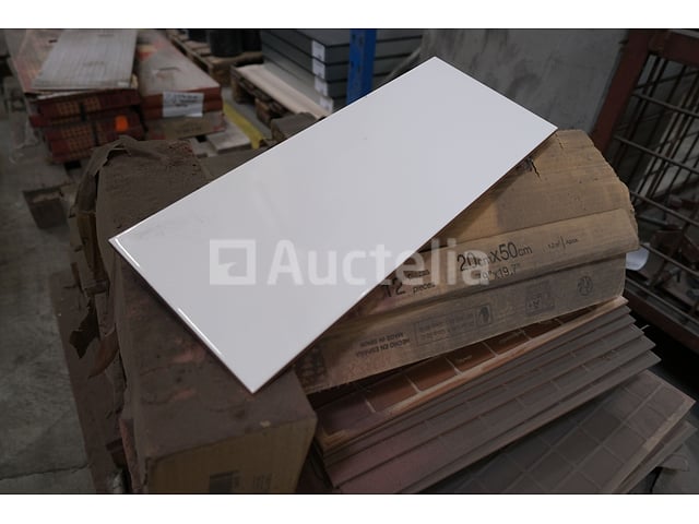 120 tegels 50x20 – foto 2 – kavel bij Auctelia, Paliseul