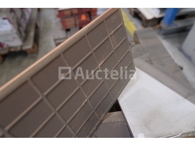 120 tegels 50x20 – foto 4 – kavel bij Auctelia, Paliseul