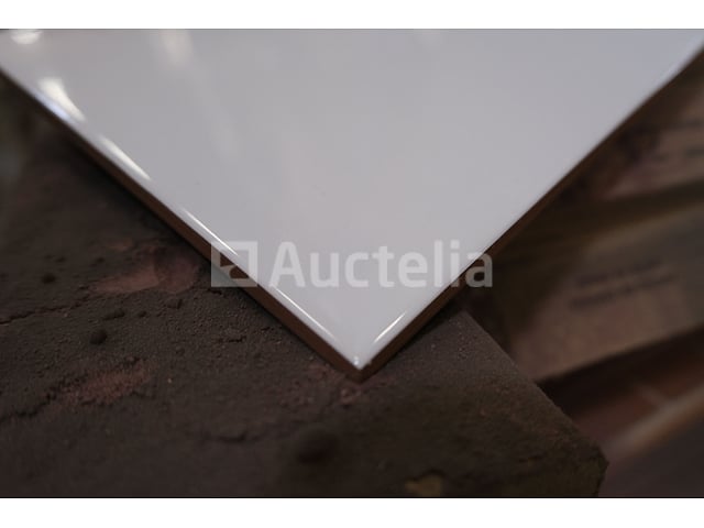 120 tegels 50x20 – foto 3 – kavel bij Auctelia, Paliseul