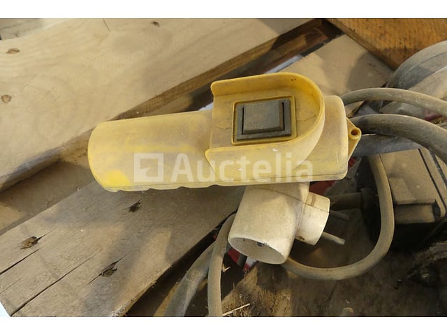 2 Takels hanen – foto 5 – kavel bij Auctelia, Binche