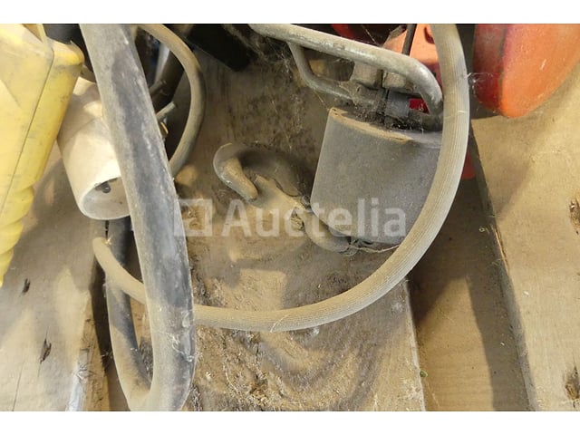 2 Takels hanen – foto 6 – kavel bij Auctelia, Binche
