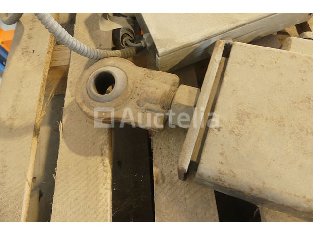 2 Takels hanen – foto 9 – kavel bij Auctelia, Binche