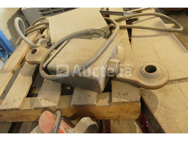 2 Takels hanen – foto 7 – kavel bij Auctelia, Binche