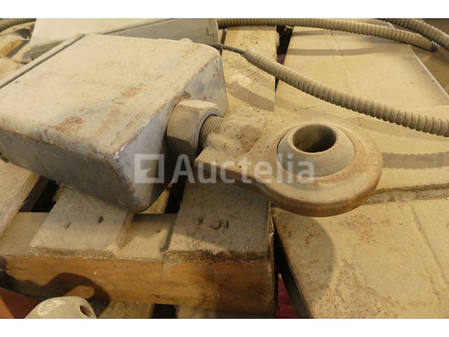 2 Takels hanen – foto 8 – kavel bij Auctelia, Binche