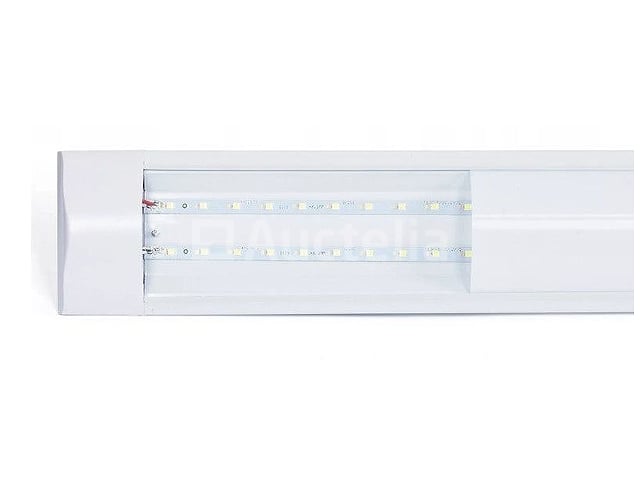 20 LED-lampen 120 cm 36W – foto 2 – kavel bij Auctelia, Aye