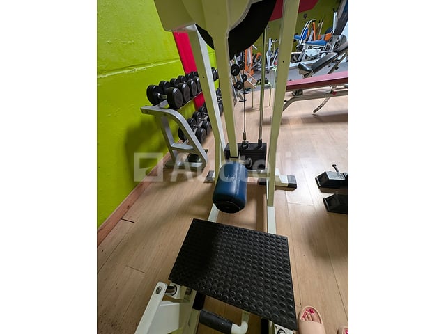 2000 Professionele Heupmachine (Panatta multi heuppasvorm) – foto 3 – kavel bij Auctelia, Bastogne