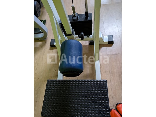 2000 Professionele Heupmachine (Panatta multi heuppasvorm) – foto 7 – kavel bij Auctelia, Bastogne
