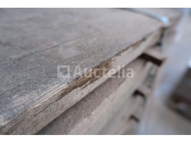 231 Sparrenhoutautoclaaf – foto 5 – kavel bij Auctelia, Liège