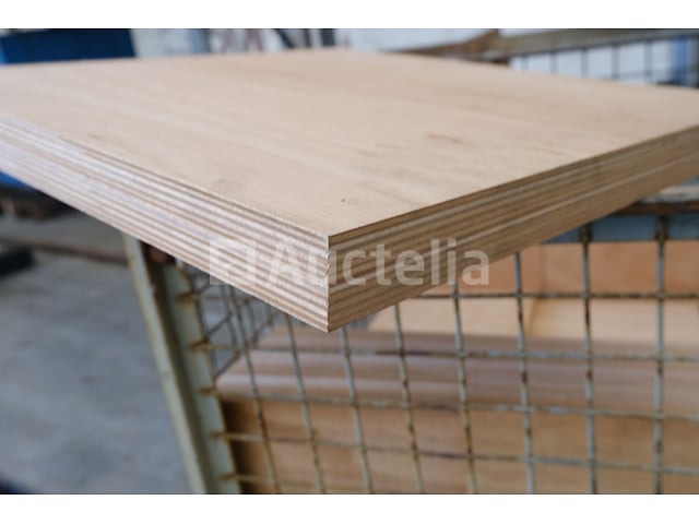 25 Multiplexplaten – foto 3 – kavel bij Auctelia, Mechelen