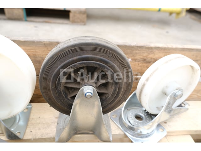 25 Verschillende castors – foto 5 – kavel bij Auctelia, Mechelen