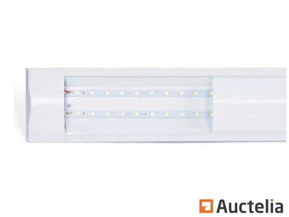 300 LED lampen 120 cm 36W – foto 2 – kavel bij Auctelia, Aye