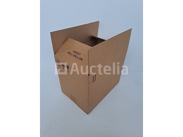 3000 kartonnen dozen L362 x W246 x H296 – kavel bij Auctelia, Namur