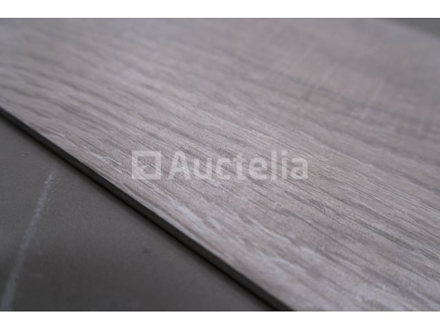 4 tegels 100x100 – foto 3 – kavel bij Auctelia, Paliseul