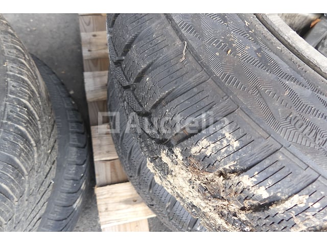 4 Velgbanden – foto 6 – kavel bij Auctelia, Fauvillers