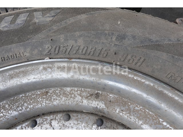4 Velgbanden – foto 4 – kavel bij Auctelia, Fauvillers