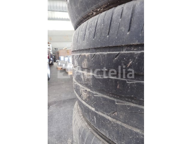 4 Velgbanden – foto 8 – kavel bij Auctelia, Fauvillers