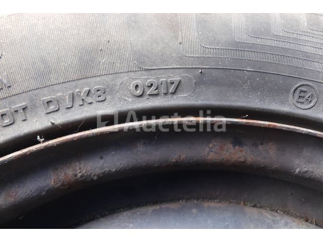 4 Velgbanden – foto 5 – kavel bij Auctelia, Fauvillers