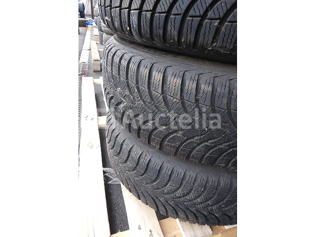 4 Velgbanden – foto 5 – kavel bij Auctelia, Fauvillers
