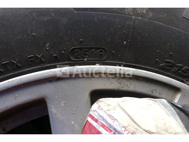 4 Velgbanden – foto 5 – kavel bij Auctelia, Fauvillers
