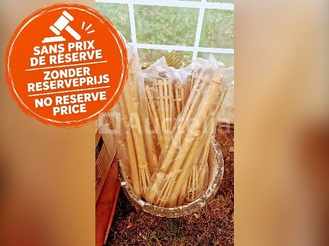 57 Tuinfakkel – foto 2 – kavel bij Auctelia, Malle