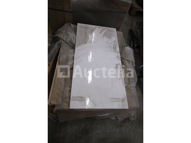 65 tegels 60x30 – foto 2 – kavel bij Auctelia, Paliseul