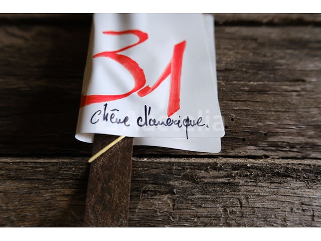 American Oak Ball – foto 5 – kavel bij Auctelia, Havelange
