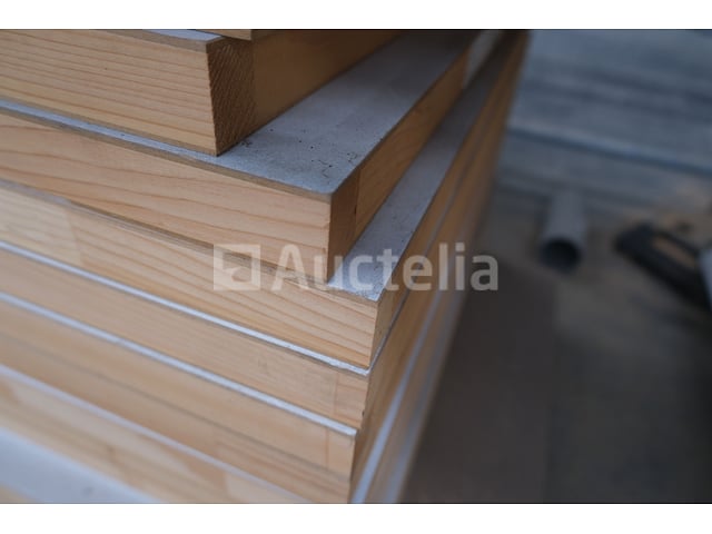 Binnendeuren – foto 4 – kavel bij Auctelia, Liège