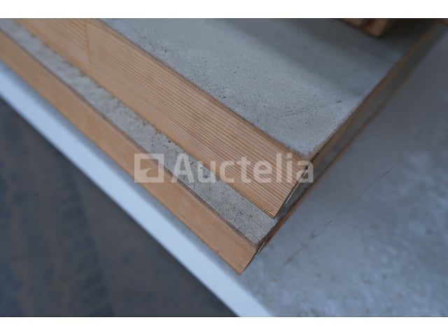 Binnendeuren – foto 5 – kavel bij Auctelia, Liège