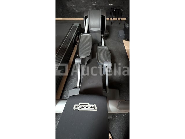 Crosstrainers - TECHNOGYM - Technogym professionele crosstrainer – foto 2 – kavel bij Auctelia, Bastogne