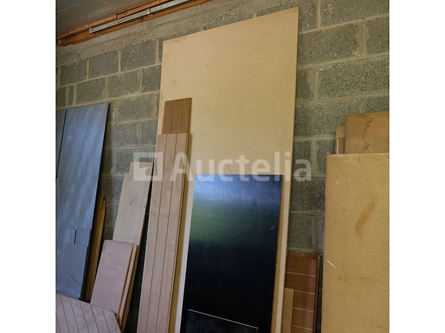 Diverse panelen en deuren – foto 8 – kavel bij Auctelia, Sankt Vith