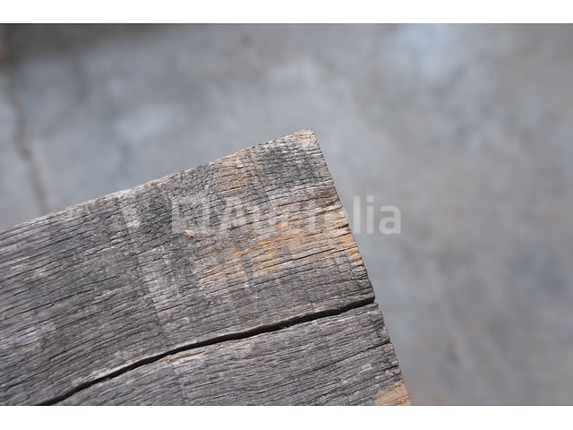 Eikenbalk – foto 5 – kavel bij Auctelia, Liège