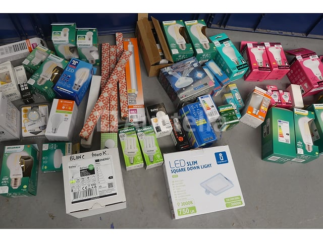 Gloeilampen – foto 4 – kavel bij Auctelia, Braine-l'Alleud