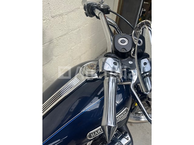 Harley Davidson - Sportster 1200 XL LOW – foto 4 – kavel bij Auctelia, Paliseul