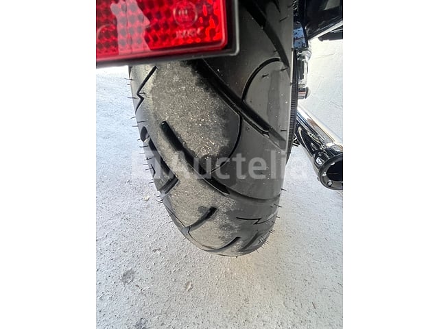 Harley Davidson - Sportster XL 1200 CB (2013) – foto 3 – kavel bij Auctelia, Paliseul